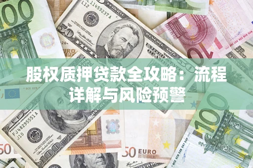 北京股权质押贷款全攻略：流程详解与风险预警